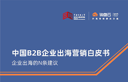 中国B2B企业出海营销白皮书-企业出海的N条建议