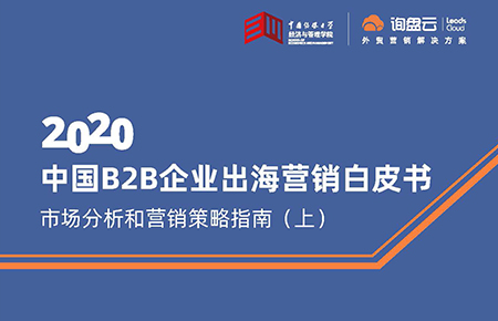 中国B2B企业出海营销白皮书-市场分析和营销策略指南（上）