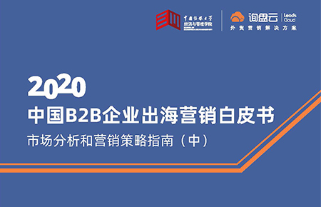 中国B2B企业出海营销白皮书-市场分析和营销策略指南（中）