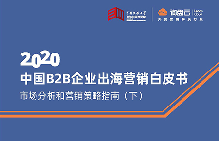 中国B2B企业出海营销白皮书-市场分析和营销策略指南（下）