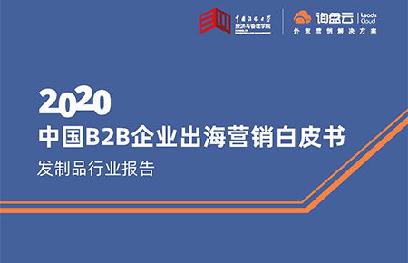 中国B2B企业出海营销白皮书-发制品行业报告