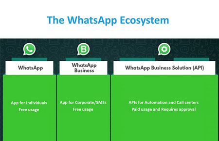 什么是 WhatsApp 广告账号？ WhatsApp 官方广告群发有效果吗？